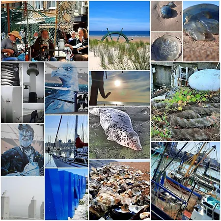 De Napoleon Appartement